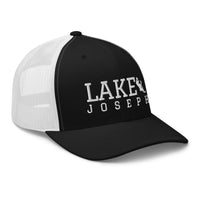 LAKE/Joseph Mesh Back 22